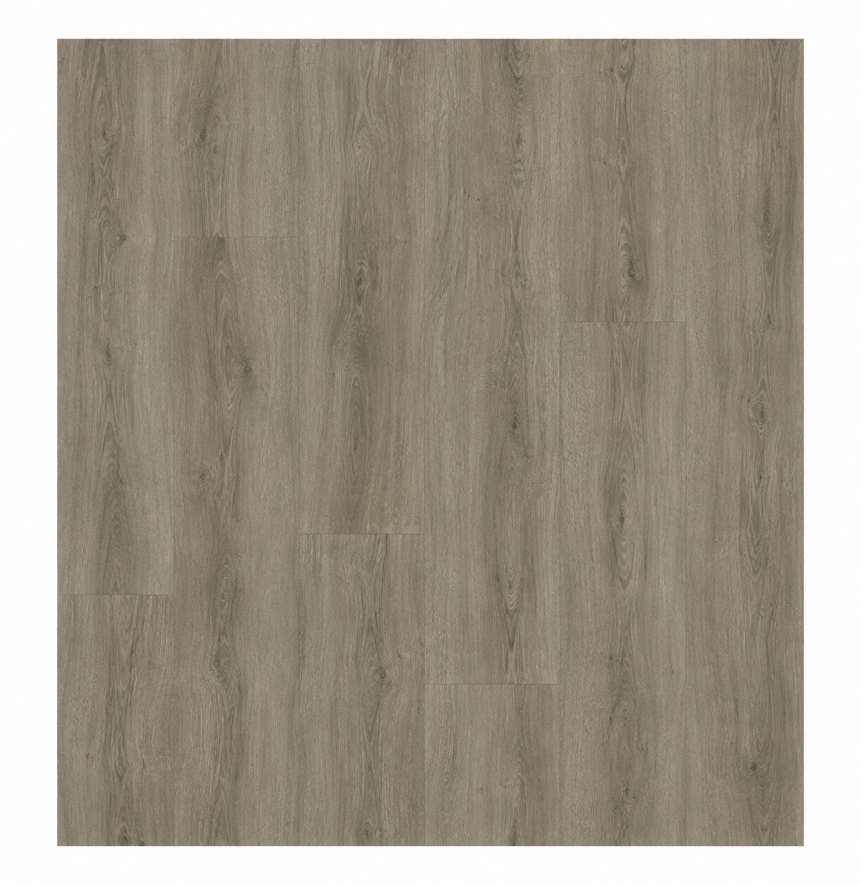 Coastal View Rigid Core Click Lock Luxury Vinyl Plank Flooring | Spotlight Savings