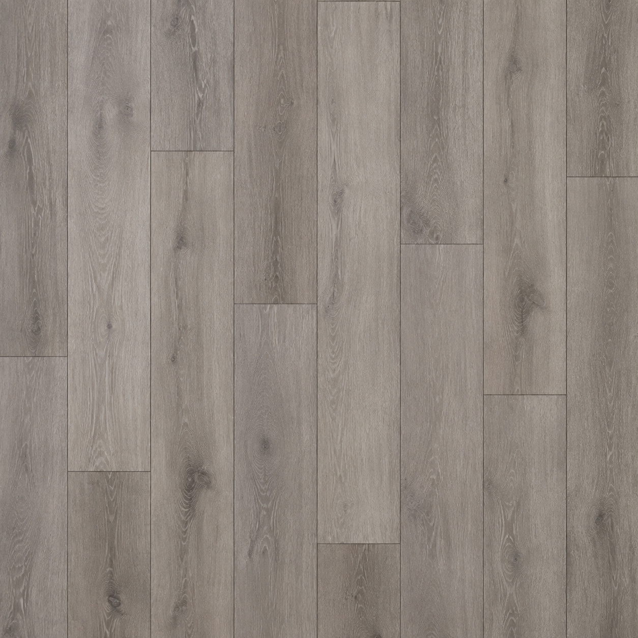 MSI Soho Rigid Plus Coastal Grey Luxury Vinyl Plank Flooring | Spotlight Savings