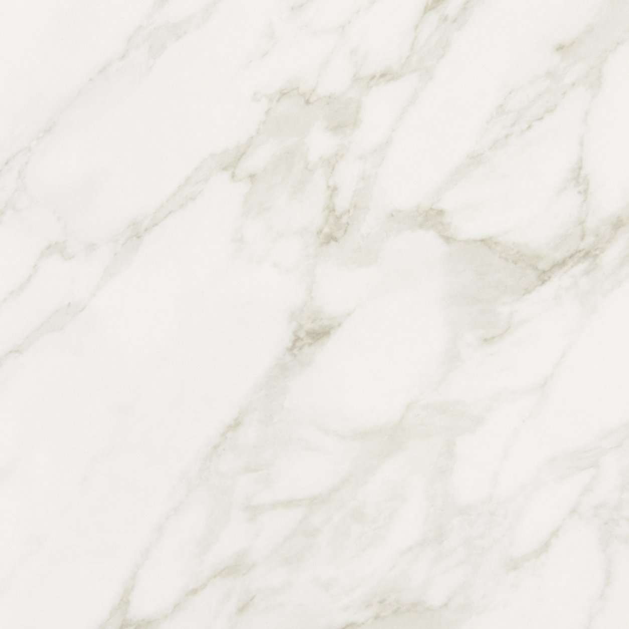 Marazzi Marble Obsession 12 x 24 Porcelain Floor and Wall Tile - Arabescato - Matte | 12" x 24" | Spotlight Savings