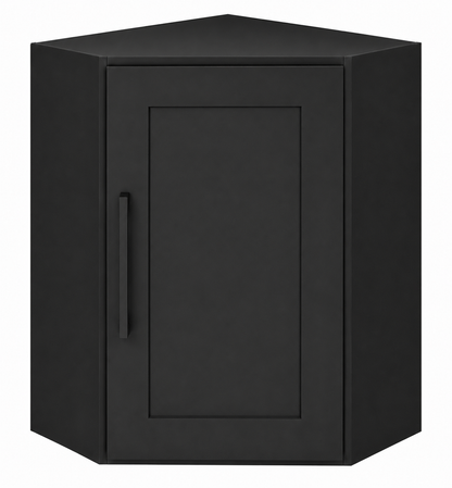 DCW2430 Wall Diagonal Corner Cabinet | 24"W x 30"H x 12"D | Launch Collection