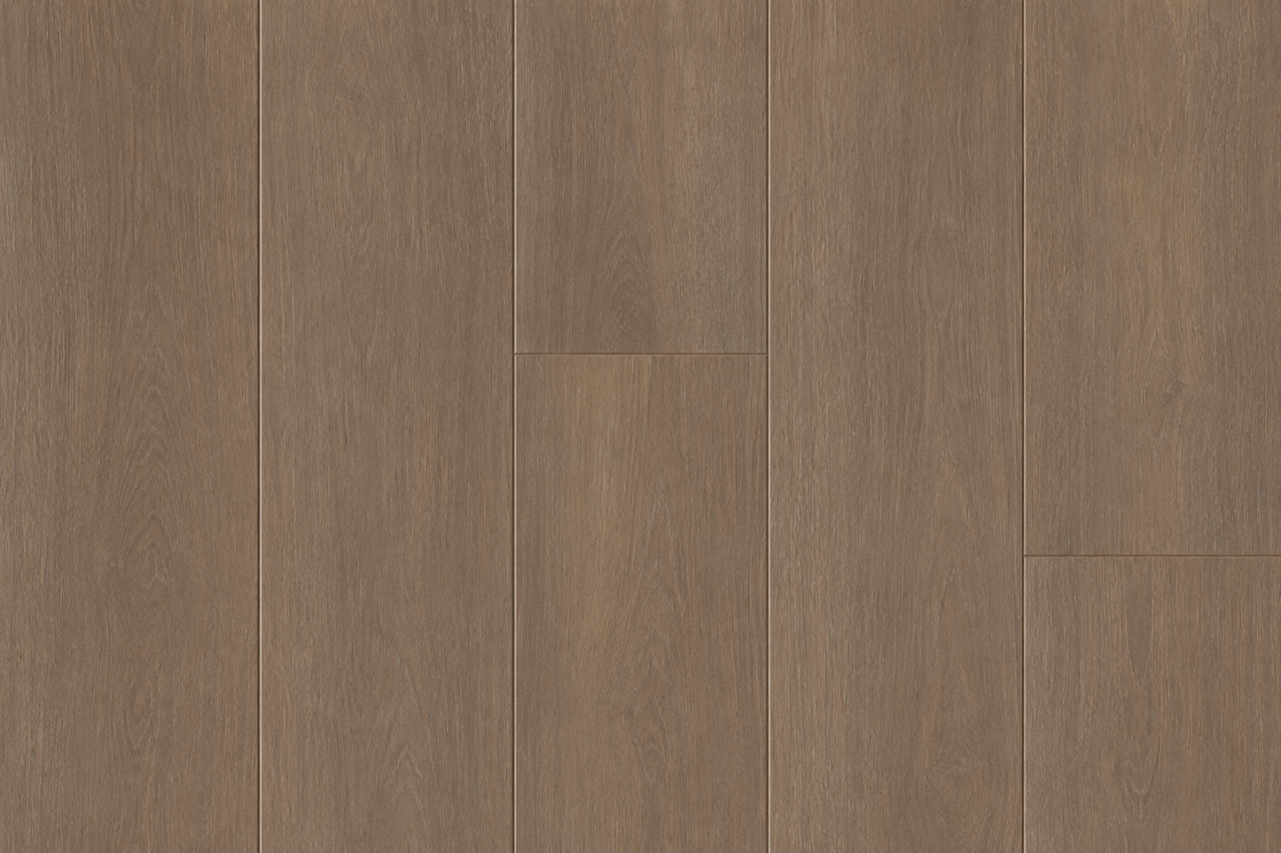 Paragon HD Natural Bevel Luxury Vinyl Plank Flooring in Gable | Spotlight Savings