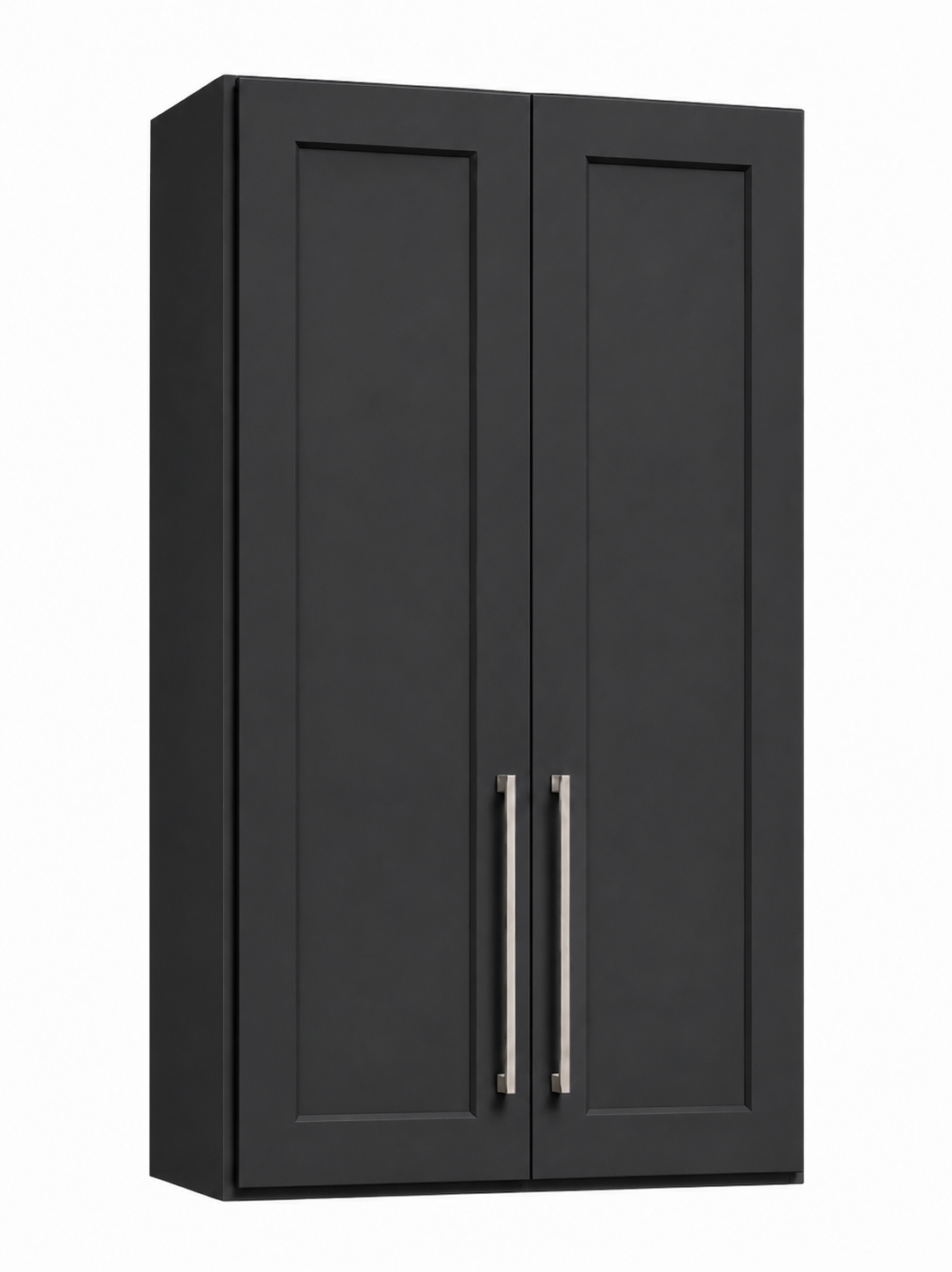 W2442 Wall Cabinet | 24" Wide x 42" High | Launch Cabinet Collection