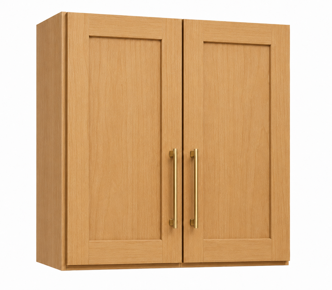 W3036 Wall Cabinet | 30" Wide x 36" High x 12" Deep | 2 Door | 2 Shelf | Launch Cabinet Collection