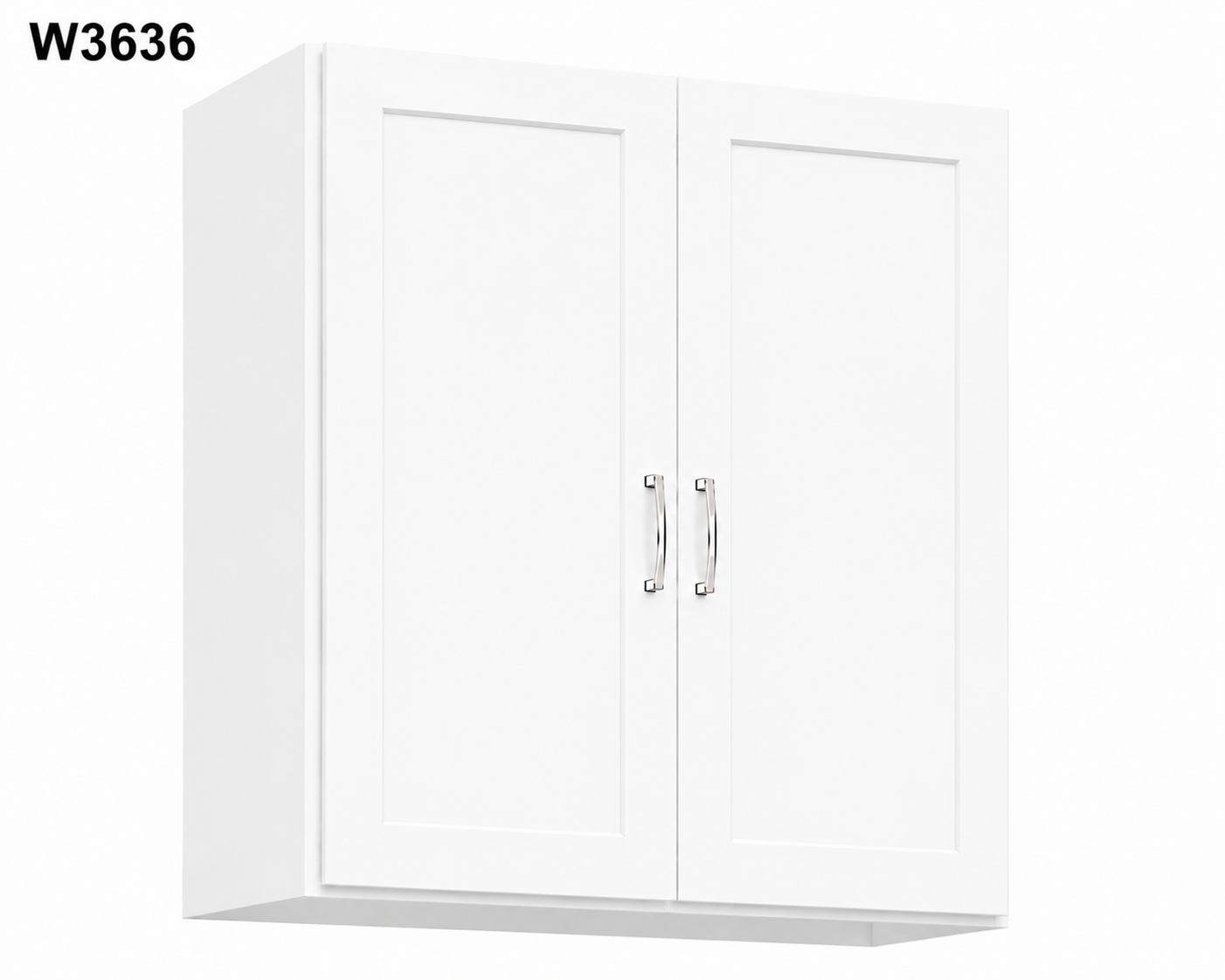 W3636