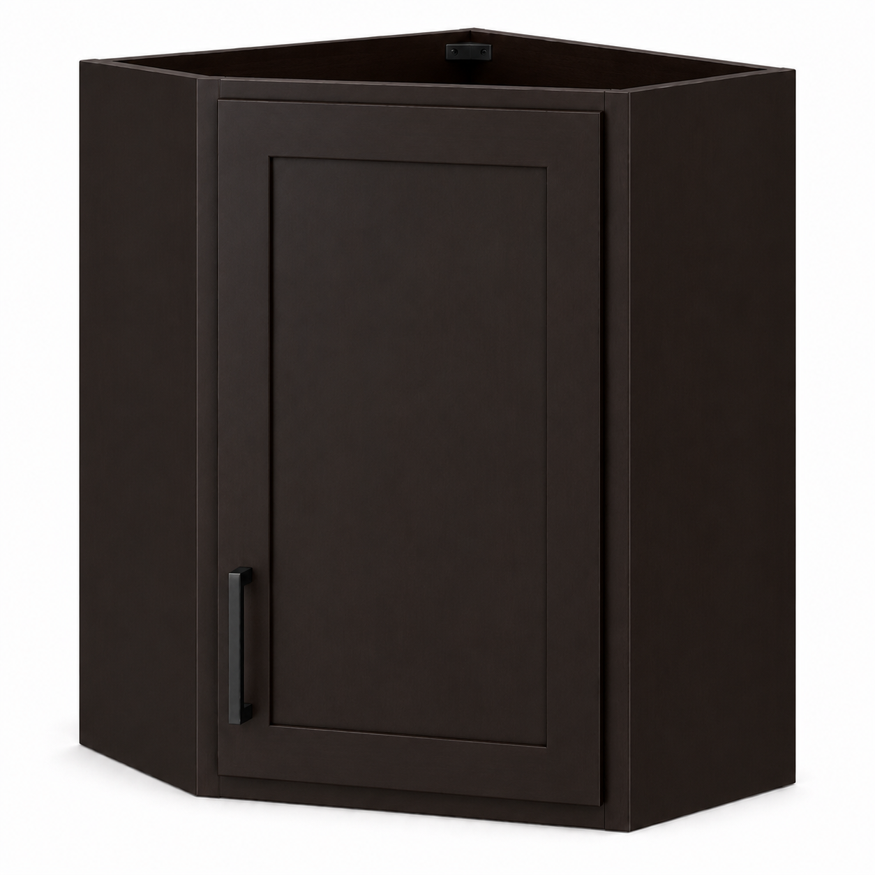 WBC2430 | Wall Blind Corner Cabinet | 24"W x 30"H x 12"D | 1 Door | 2 Shelves | Launch Cabinet Collection