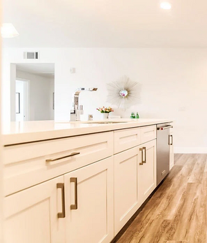 RTA Shaker White Cabinets
